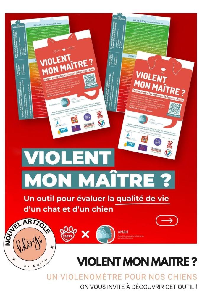 Le violentomètre chien propose une manière simple de mieux comprendre certaines formes de maltraitance animale.