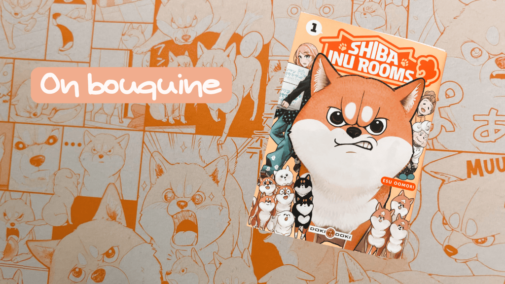 Shiba Inu Rooms